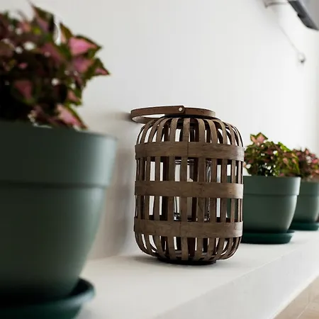 Milutin 1 Вилла Врси