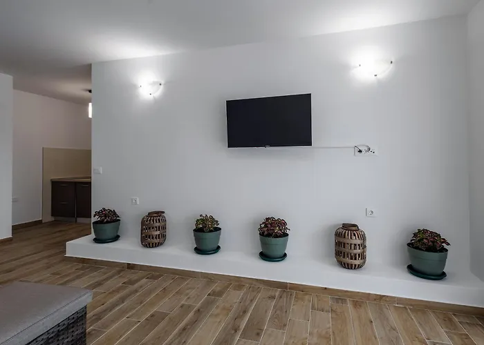 Milutin 1 * Vrsi